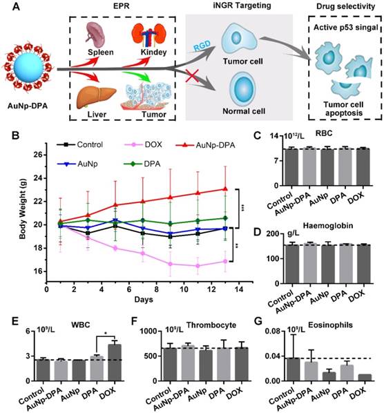 Theranostics Image