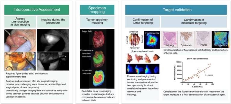 Theranostics Image