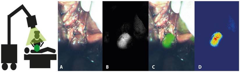 Theranostics Image