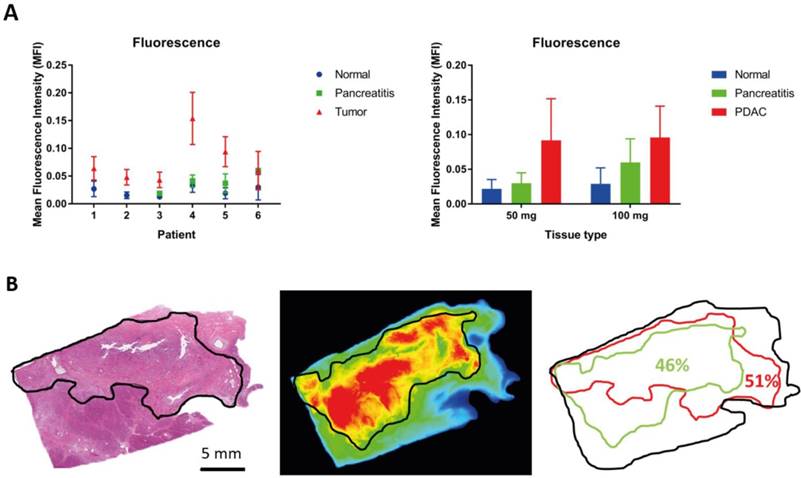 Theranostics Image