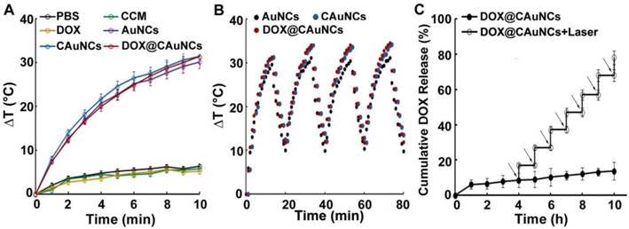 Theranostics Image