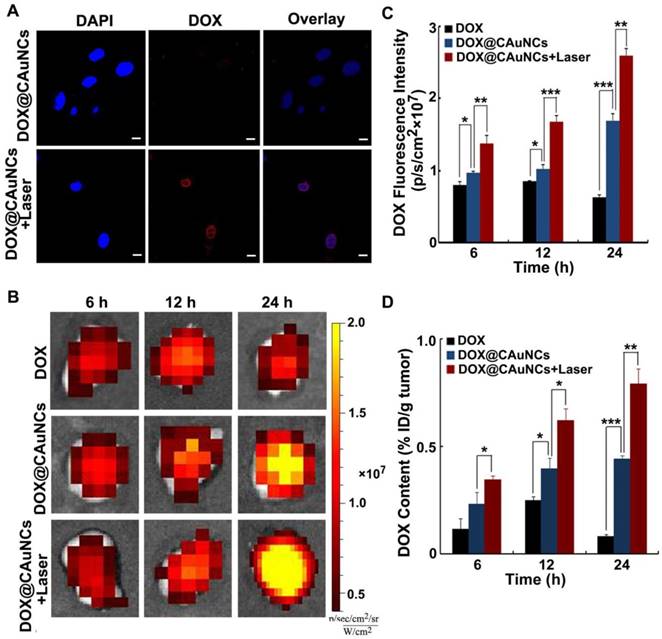 Theranostics Image