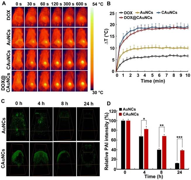 Theranostics Image