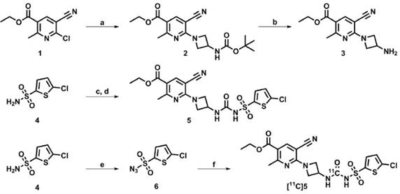 Theranostics Image