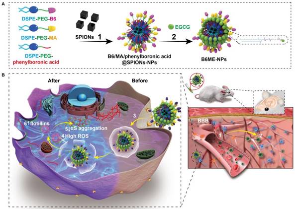 Theranostics Image