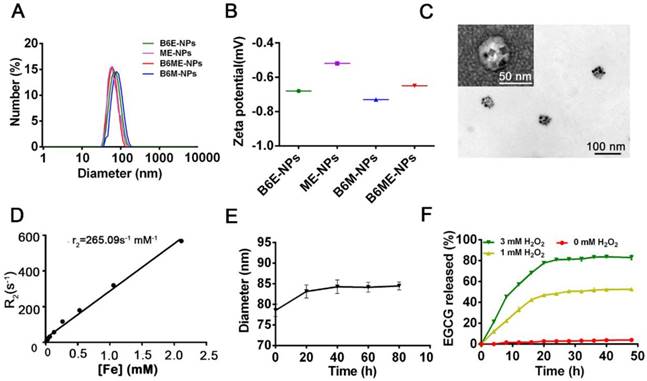 Theranostics Image