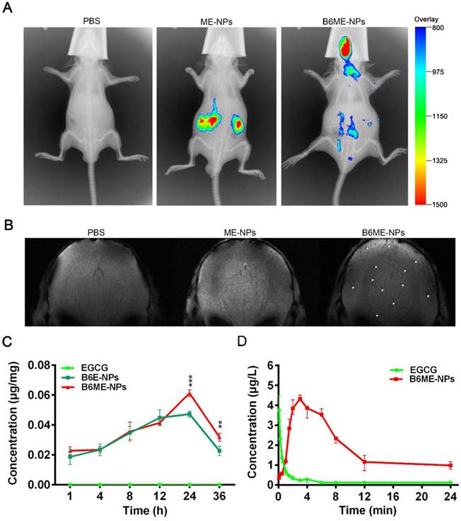 Theranostics Image