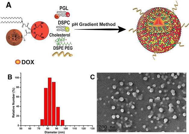 Theranostics Image