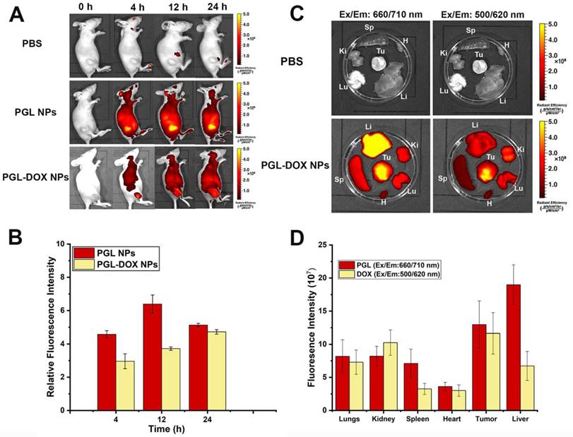 Theranostics Image