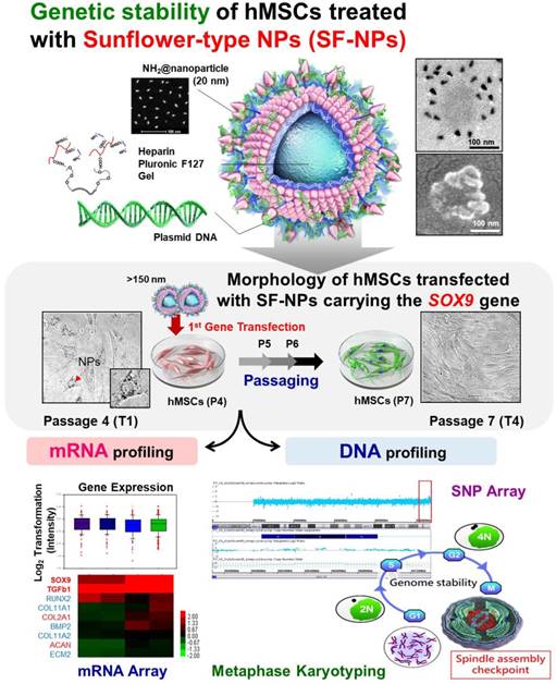 Theranostics Image