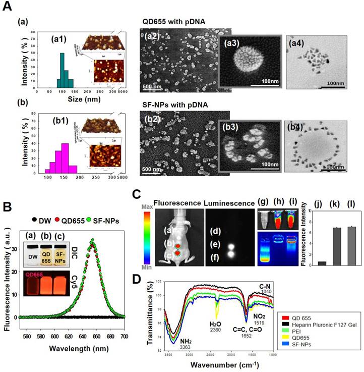 Theranostics Image