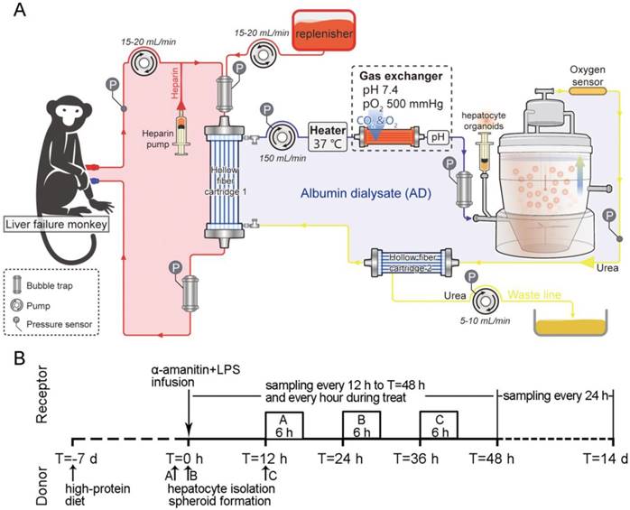 Theranostics Image