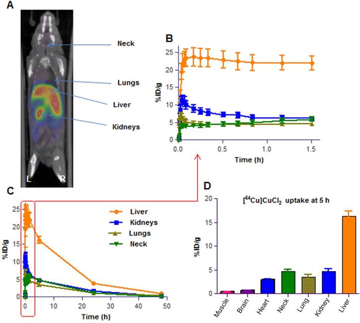 Theranostics Image