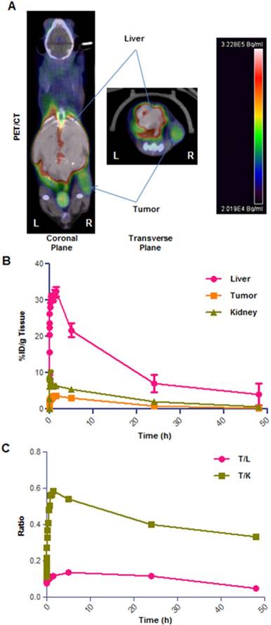 Theranostics Image