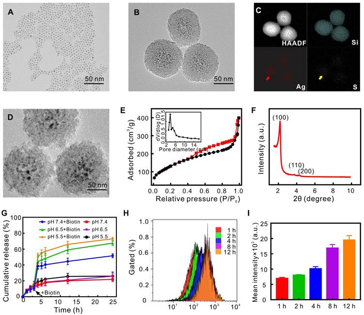 Theranostics Image