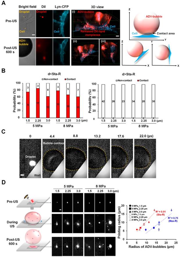 Theranostics Image