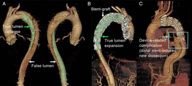 Theranostics Image