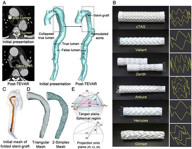 Theranostics Image