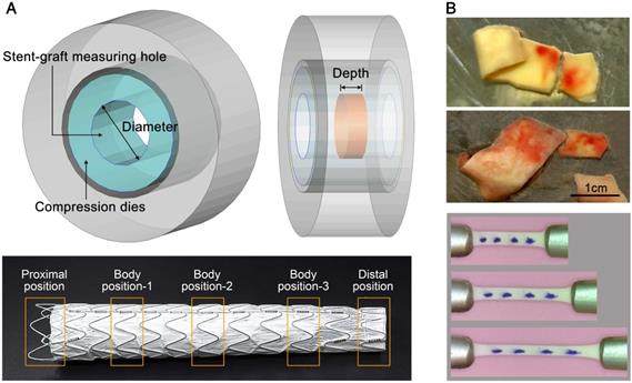 Theranostics Image