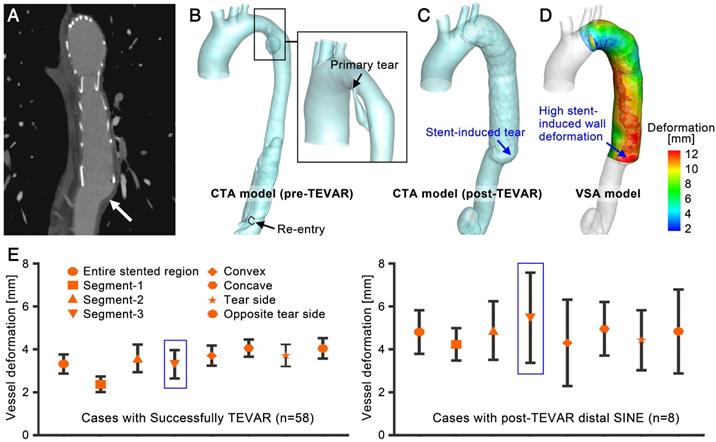 Theranostics Image