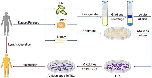 Theranostics Image