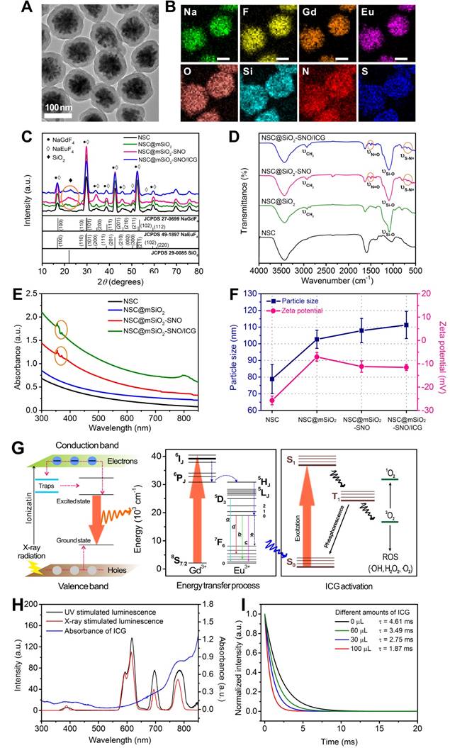 Theranostics Image