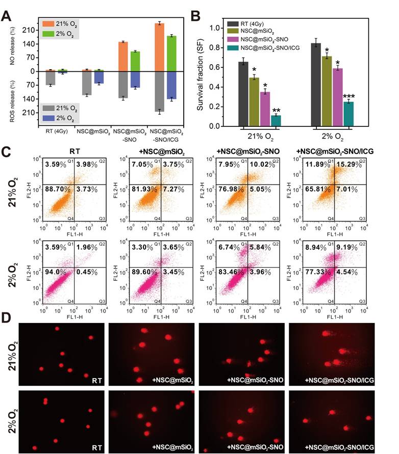 Theranostics Image