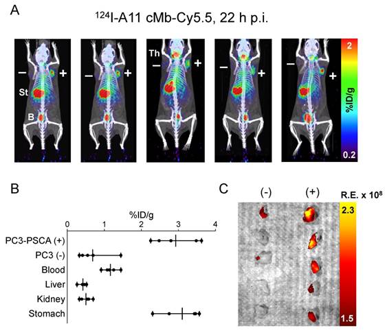 Theranostics Image