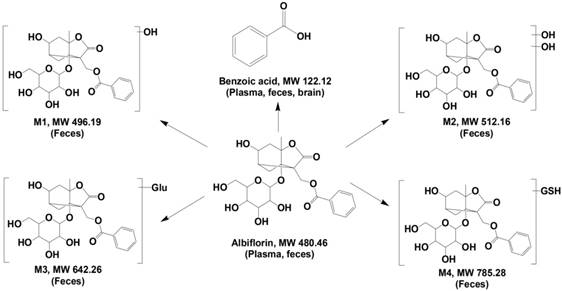 Theranostics Image