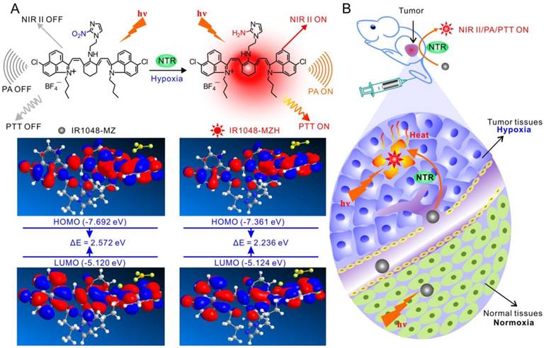 Theranostics Image