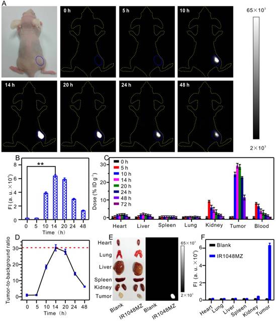 Theranostics Image