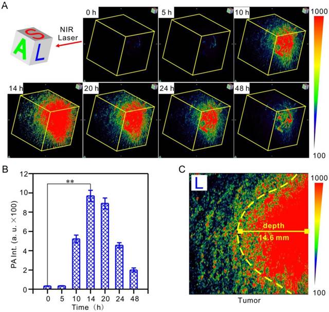 Theranostics Image