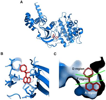 Theranostics Image