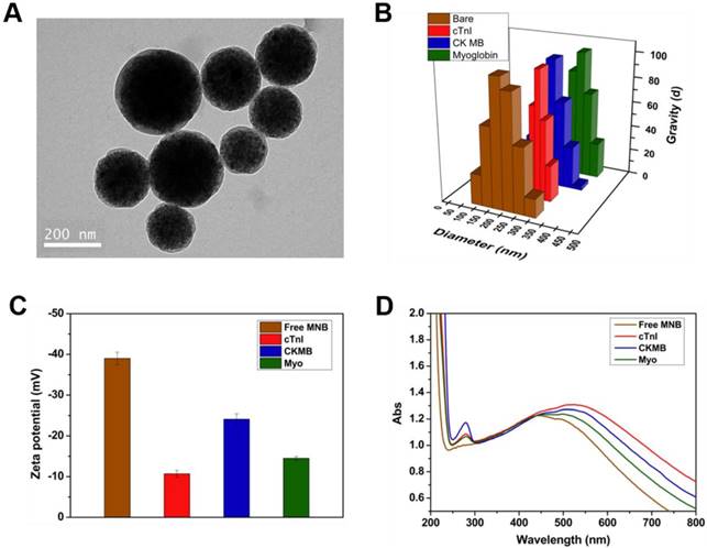 Theranostics Image