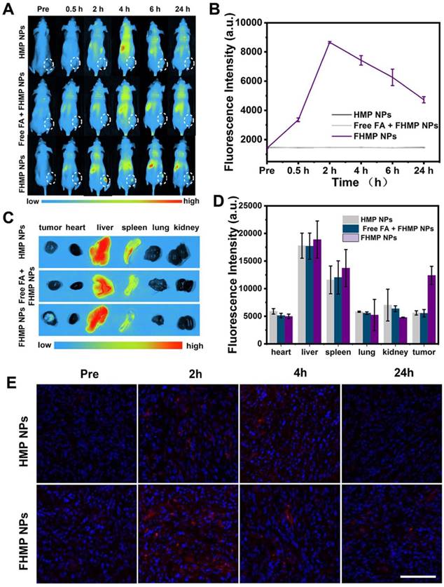 Theranostics Image