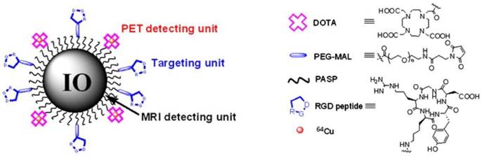 Theranostics Image