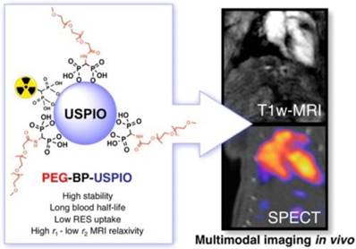 Theranostics Image