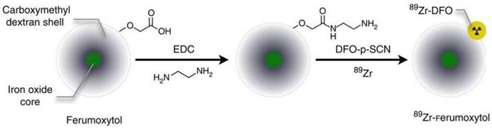 Theranostics Image