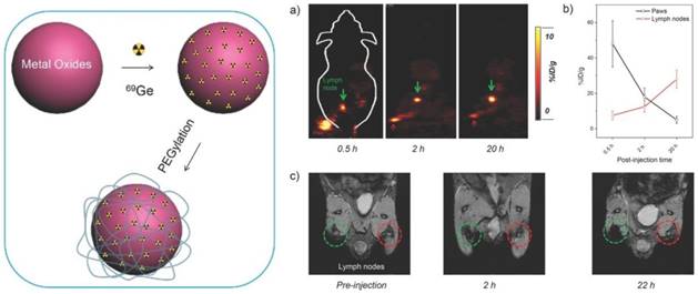 Theranostics Image