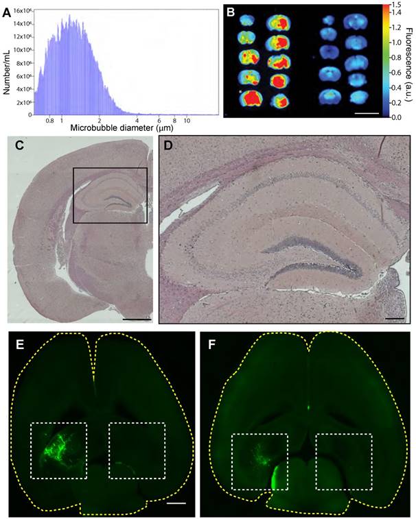 Theranostics Image