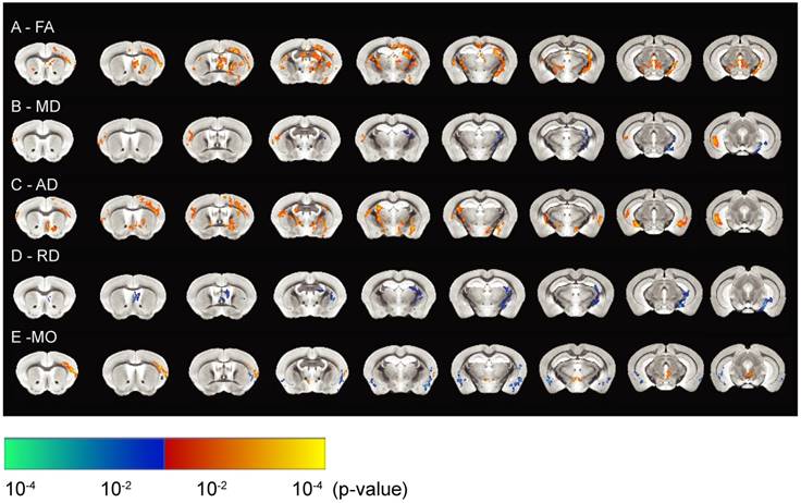 Theranostics Image