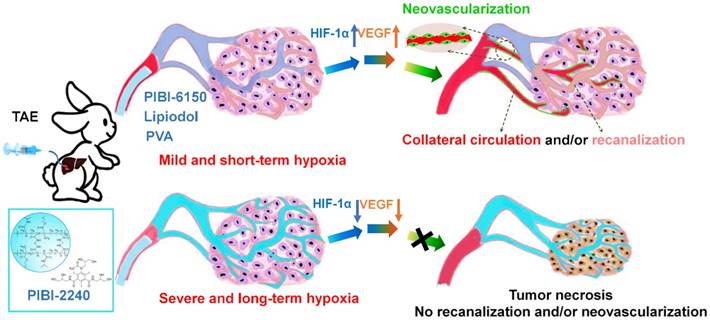 Theranostics Image