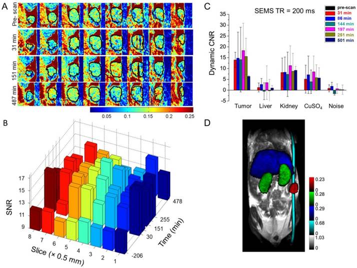 Theranostics Image