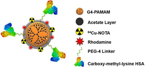 Theranostics Image