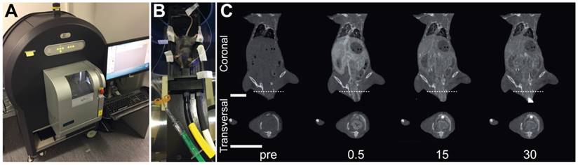 Theranostics Image