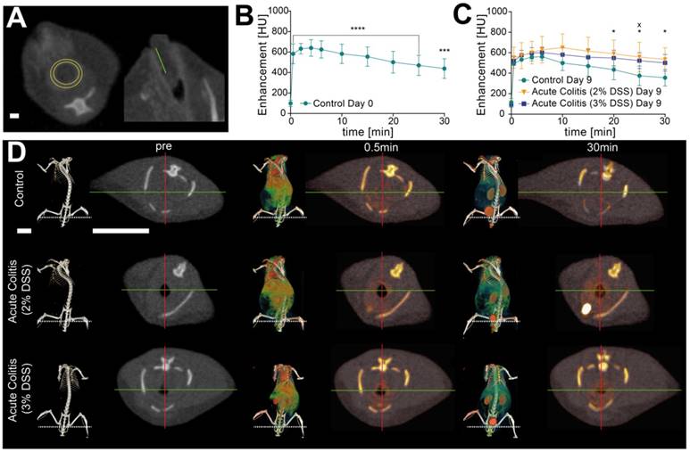 Theranostics Image