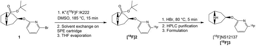 Theranostics Image