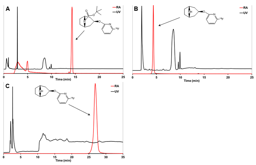 Theranostics Image