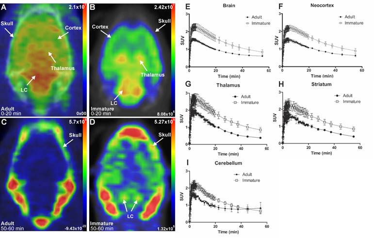 Theranostics Image