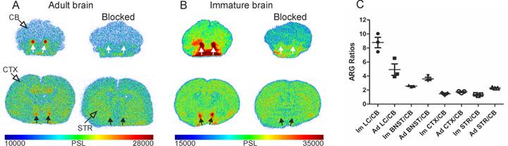 Theranostics Image